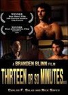 Thirteen or So Minutes (2008).jpg